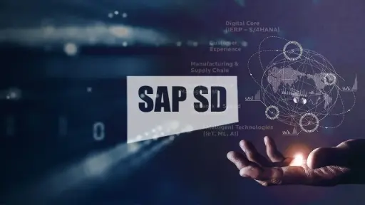 SAP SD Training   